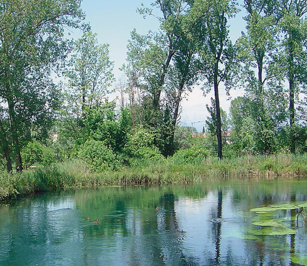 parco-del-seminario-pordenone